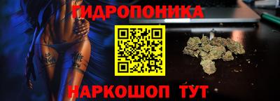 ECSTASY Шелехов