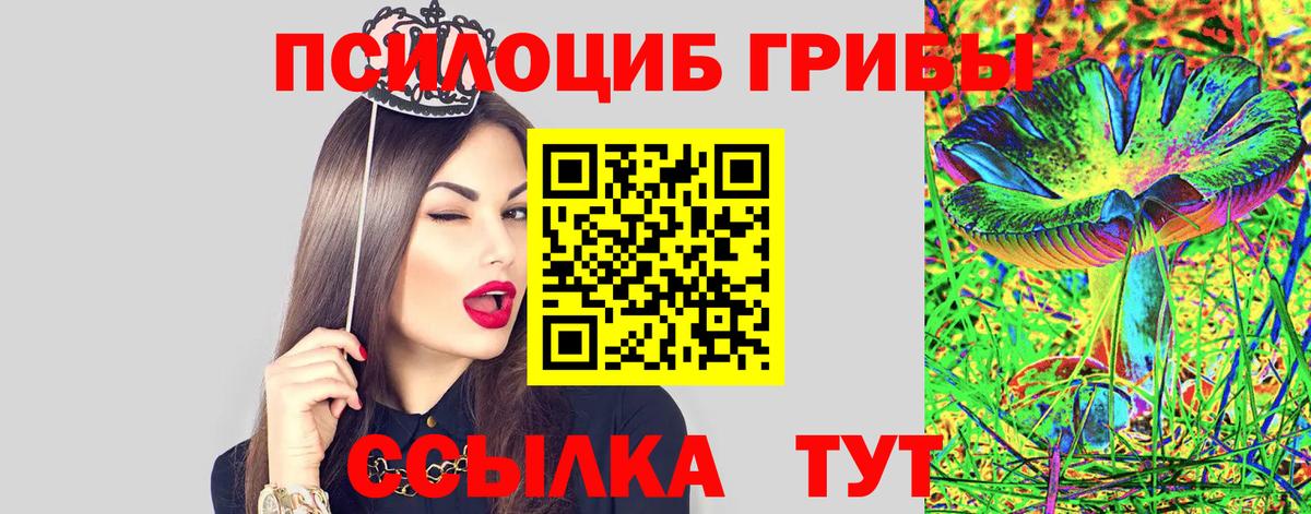 Псилоцибиновые грибы Psilocybe Минусинск
